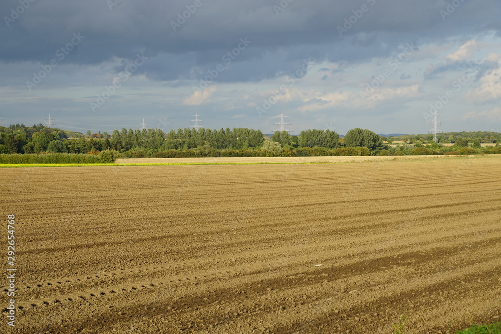 field thunderstorm,field, agriculture, landscape, sky, nature, farm, rural, harvest, wheat, summer, blue, countryside, farming, cloud, crop, land,