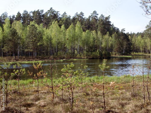 Mazurski Park Krajobrazowy rezerwat Zakret w którym wystepują których występują tzw. wyspy pływające.