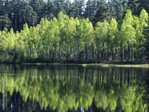 Mazurski Park Krajobrazowy rezerwat Zakret w którym wystepują których występują tzw. wyspy pływające.