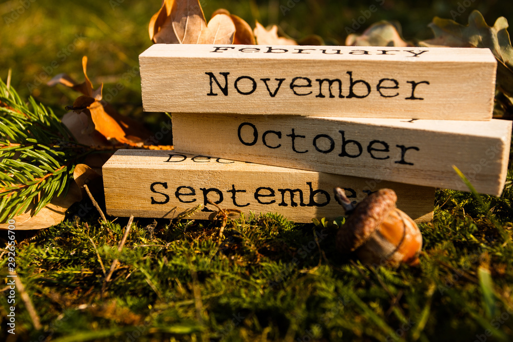 Decorative wooden calendar with date of Thanksgiving holiday, autumn decorations