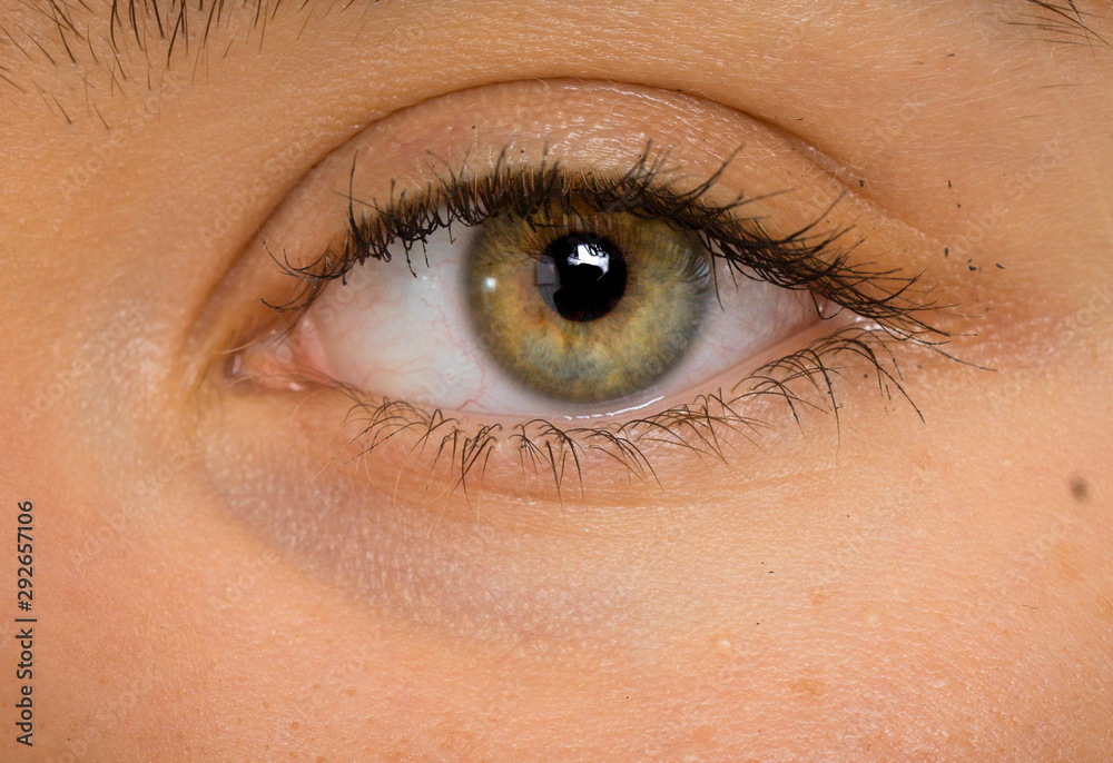 Obraz premium super macro close-up shot of beautiful human eyes