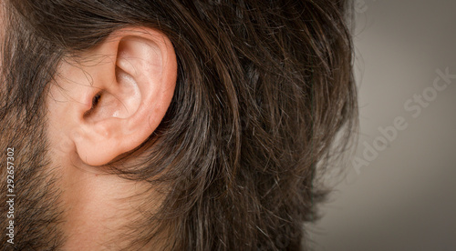 macro close-up shot of human ear © oz