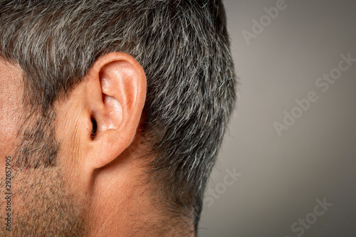 macro close-up shot of human ear photo