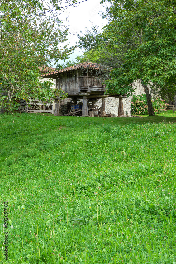 Vertical view of a meadow and trees with wooden horreo to store grain in Asturias, Europe, Spain Vertical view of a meadow and trees with wooden horreo to store grain in Asturias, Europe, Spain