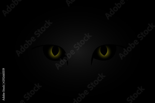 Cat eye on dark background