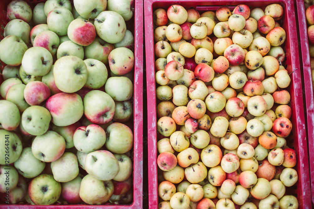 Lot of apples in boxes for natural apple juice. Autumn harvest.