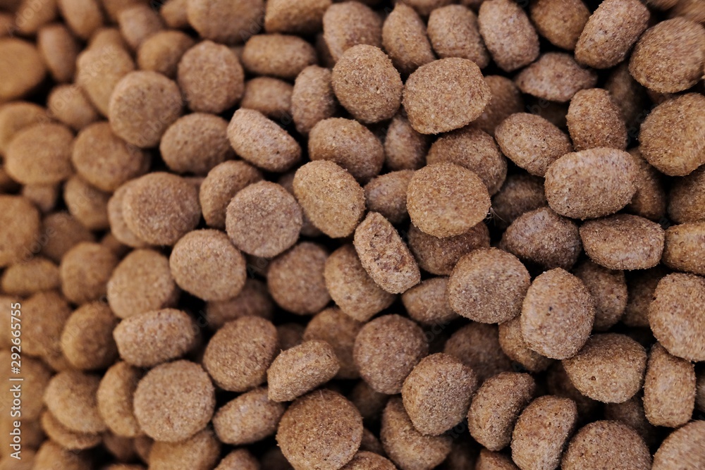 close up background of dog kibble close up background of dog kibble