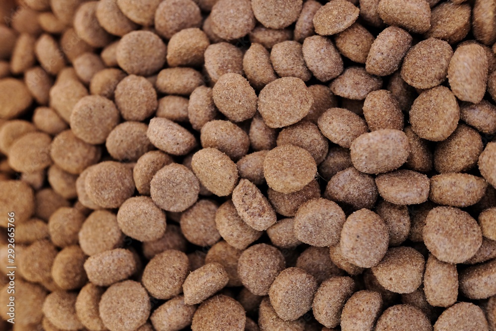 close up background of dog kibble close up background of dog kibble