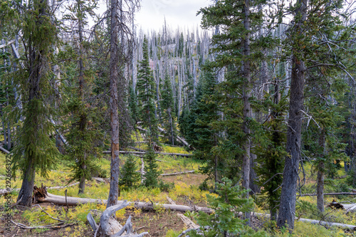 USA CedarBreaks National Monument photo