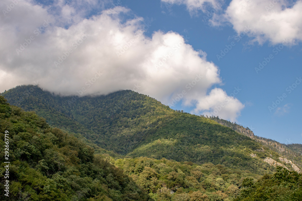 mountains of Abkhazia with green vegetation