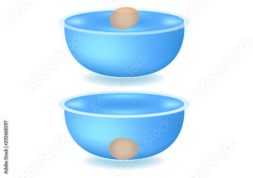 egg floating test in water vector