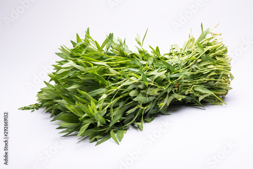 Bunch of Alternanthera sessilis in an isolated white background.