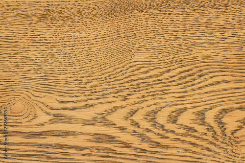 Wallpaper Mural Wood texture background surface with old natural pattern. Wood for interior exterior decoration and industrial construction concept design. Torontodigital.ca