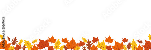 autumn leaves border on white background vector illustration EPS10