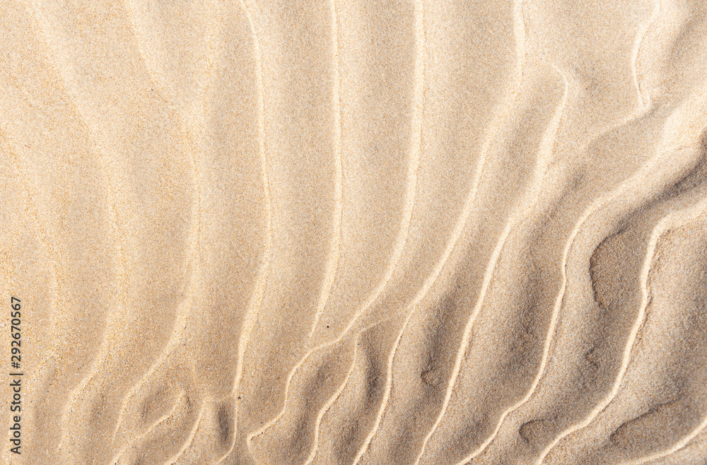 sand waves on the beach - obrazy, fototapety, plakaty 