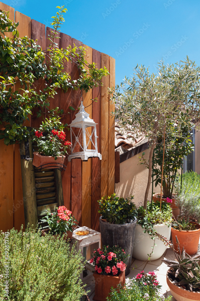 Naklejka premium Garden on the terrace, blue sky