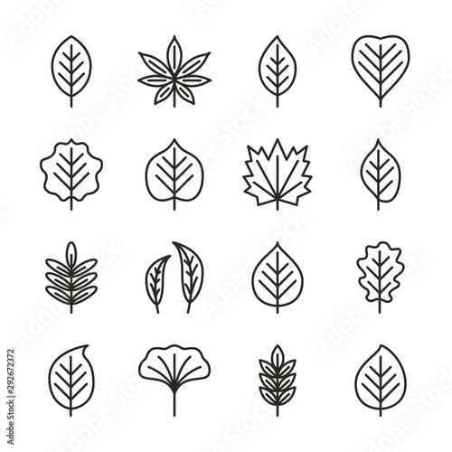Tree leaves flat line icons set - aspen, linden, maple, willow, chestnut, oak, acacia. Autumn plant pixel perfect collection. Vector illustration.