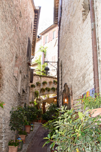 Fototapeta Naklejka Na Ścianę i Meble -  view of the city of Assisi Umbria Italy