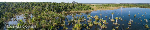 Aerial panorama of an Amazon lagoon with palm trees around and in water, natural island in a agricultural area, environmental protection, San Jose do Rio Claro, Mato Grosso, Brazil