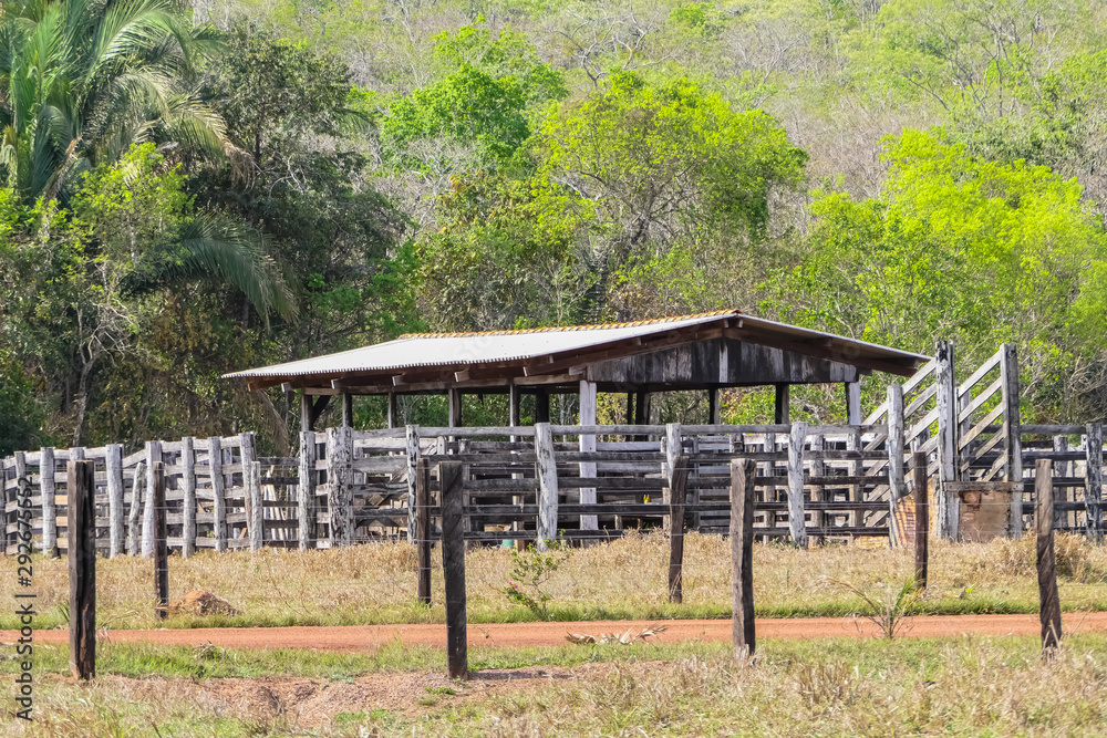 Cattle feeding station on pasture land with corral fences, green trees in the background, Bom Jardim, Mato Grosso, Brazil