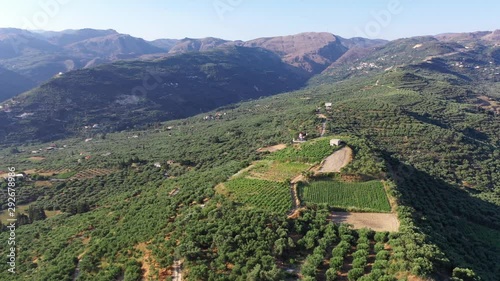 Aerial video from drone. Church and olive groves in Crete. photo