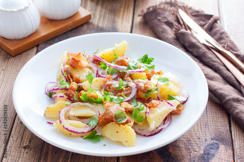German potato salad with fried bacon, horizontal German potato salad with fried bacon, horizontal