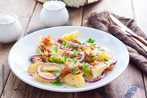 German potato salad with fried bacon, horizontal