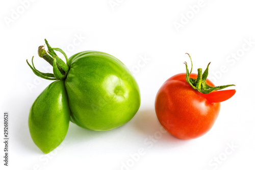 ugly red and green tomatoes on white background