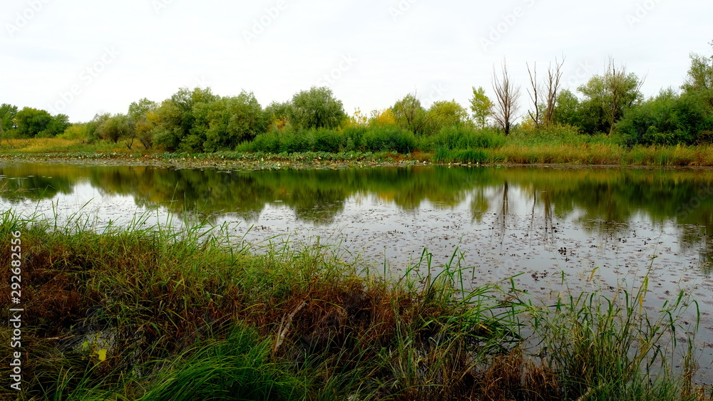Lake in the forest. Reflection of trees in the water Lake in the forest. Reflection of trees in the water