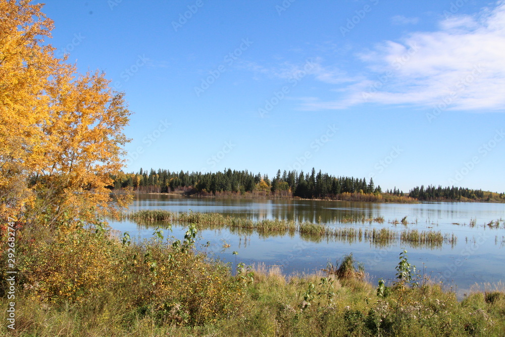 Autumn By The Lake, Elk Island National Park, Alberta Autumn By The Lake, Elk Island National Park, Alberta