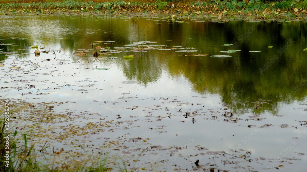 Lake in the forest. Reflection of trees in the water Lake in the forest. Reflection of trees in the water