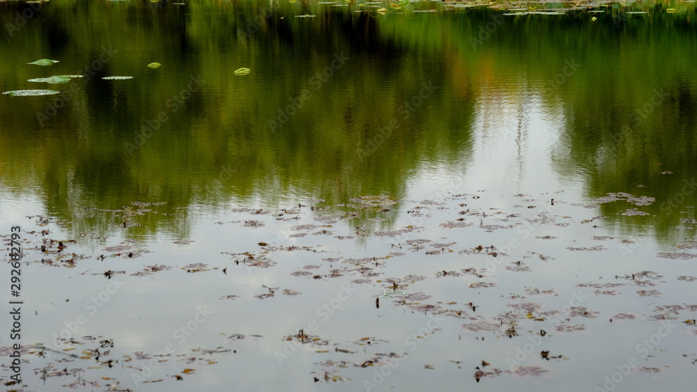 Lake in the forest. Reflection of trees in the water Lake in the forest. Reflection of trees in the water