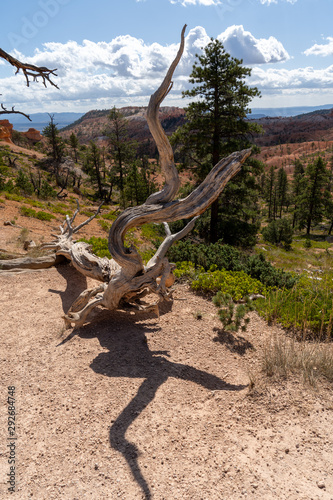 USA Bryce Canyon National Park