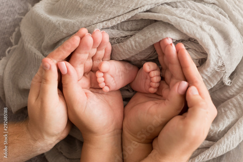 Feet newborn baby in the arms of the mother. feet newborn baby in his hands. baby's feet. baby feet