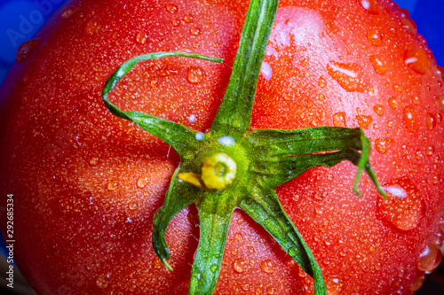 Pomidorek z ogonkiem i liśćmi, nieco zmoczony photo