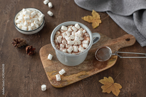cup of hot chocolate or cocoa with marshmallows on a dark background with yellow autumn leaves