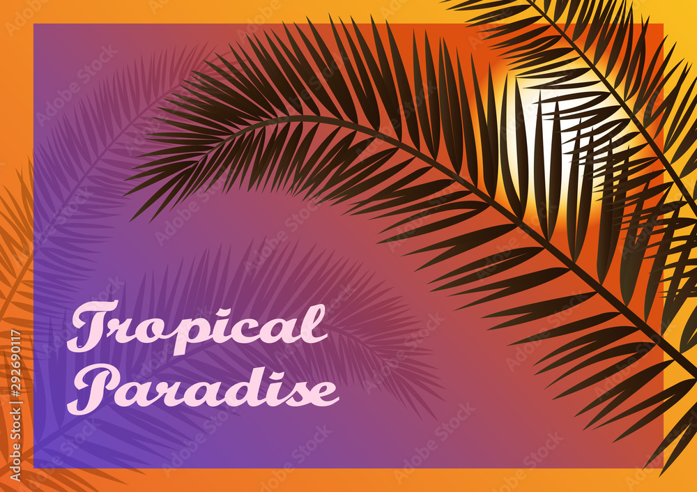 Exotic Background, Tropical Palms Trees Leaves Silhouettes and San on Sky. Vector