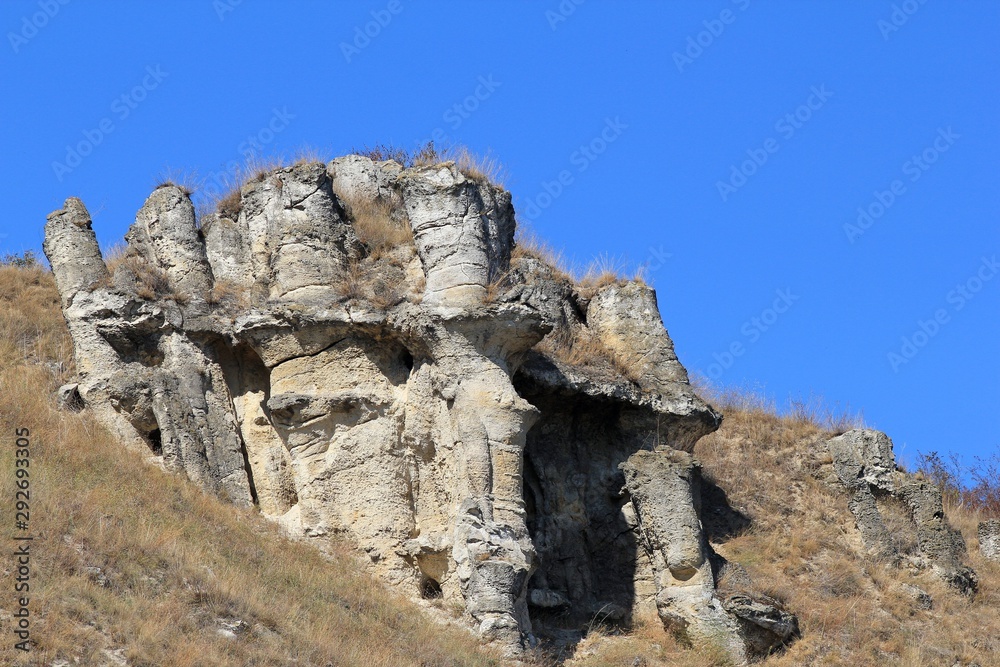 Stone forest in the area 