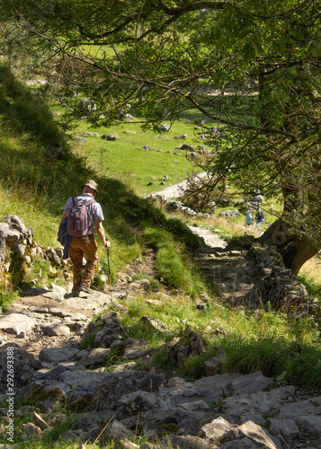 A hiker makes his way carefully down the 250ft path from Malham pavement to the cove below taking in the stunning Yorkshire Dales scenery on the way