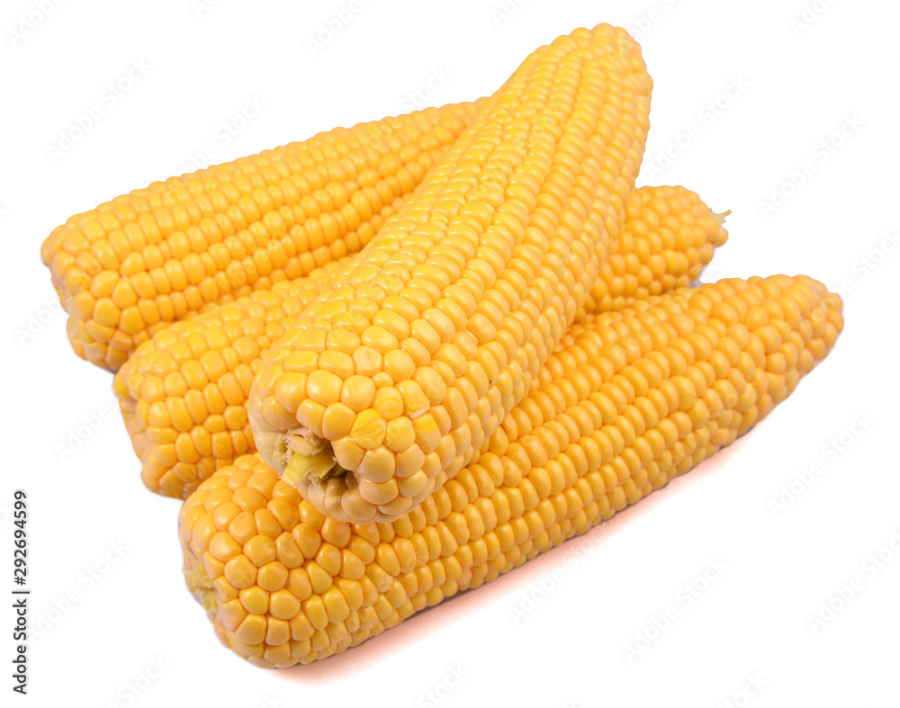 Corn isolated on a white background Corn isolated on a white background