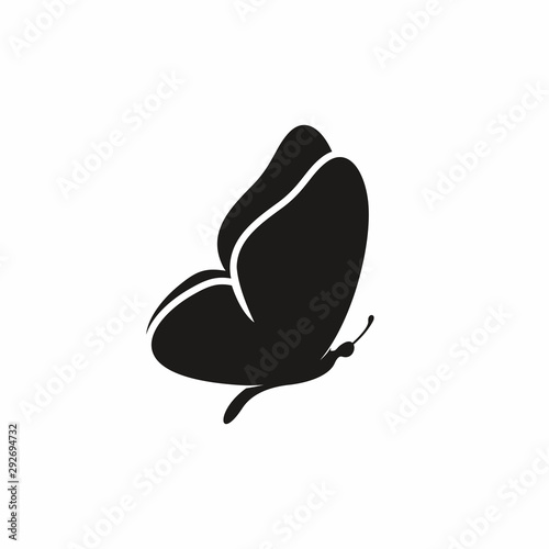Butterfly icon vector