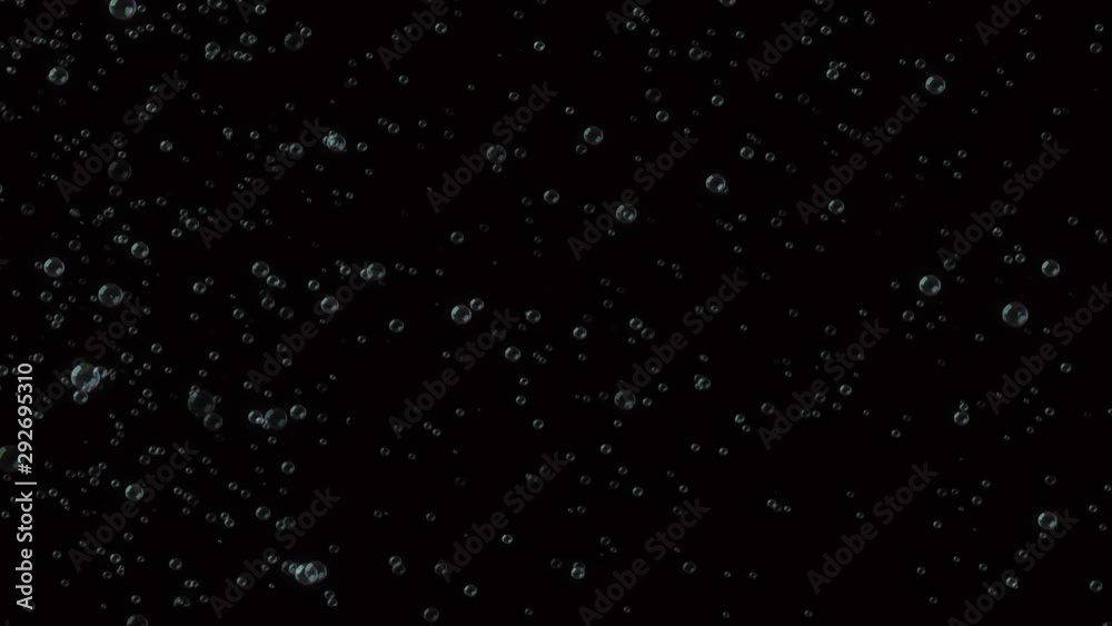 Air or water bubbles in dark backdrop, animated video. Transparent bubbles are quickly moving up and floating on black background. Looks like soda ar champagne bubbles. Soap bubbles.