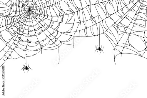 Cobweb background. Scary spider web with spooky spider, creepy arthropod halloween decor, net texture tattoo design vector template