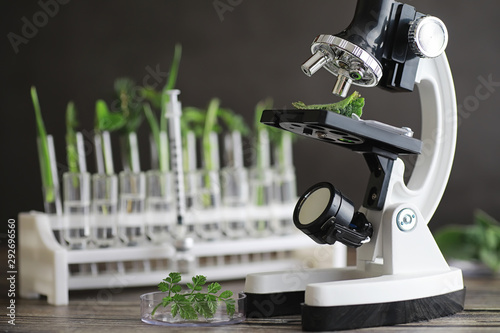 Microscope and test partings on the table in the laboratory.