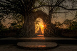 Entrance in tree roots to old Pagoda duration Sunset through the door at Wat Phra  Ngam  ,Ayutthaya,Thailand