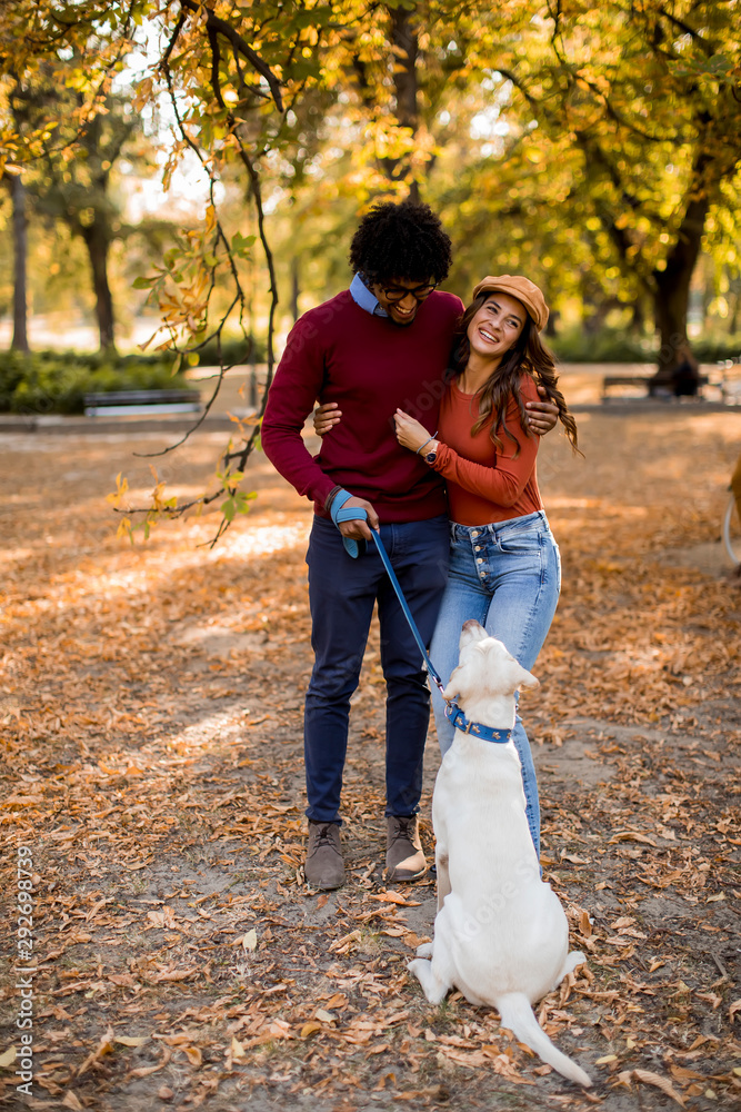 Fototapeta premium Multiracial couple walking with dog in autumn park