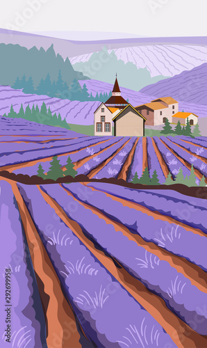 Lavender field with meadow fields and village houses on background. Cartoon f...