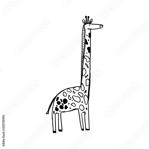 illustration of giraffe on white background