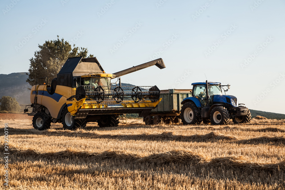 Obraz premium yellow harvester