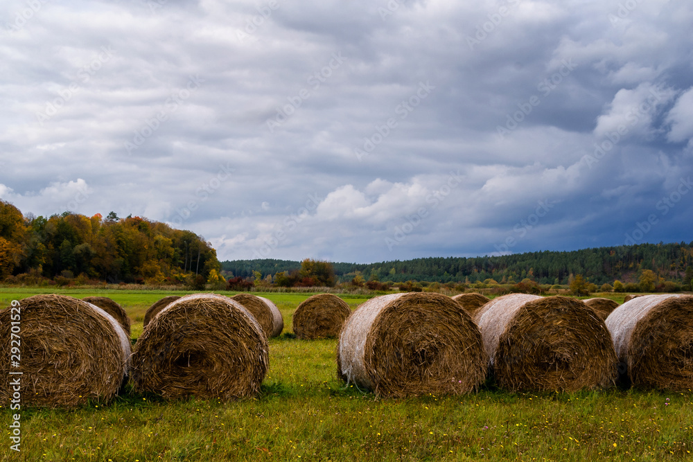 Jesień w okolicach Supraśla, Podlasie, Polska Jesień w okolicach Supraśla, Podlasie, Polska
